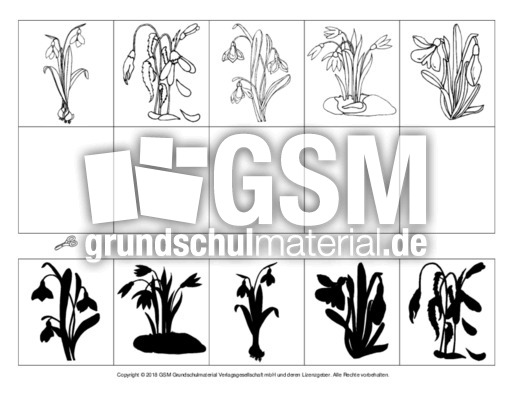 Schattenbilder-Schneeglöckchen-2.pdf